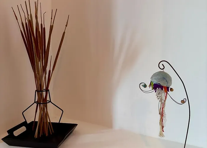 Homecircus - Charming Two Bedroom House